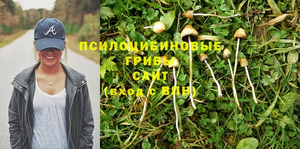 мдпв Арсеньев