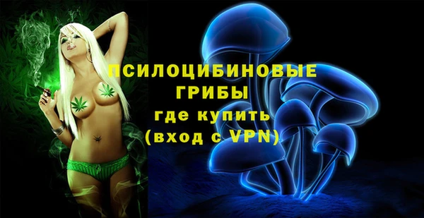 эйфоретик Балахна