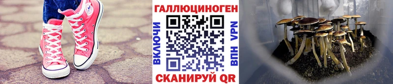 Галлюциногенные грибы MAGIC MUSHROOMS наркотики Нягань